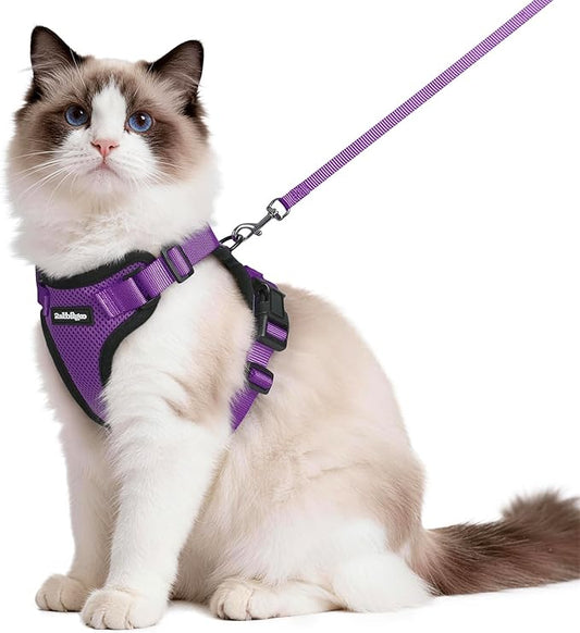 rabbitgoo Cat Harness and Leash for Walking, Escape Proof Soft Adjustable Vest Harnesses for Cats, Easy Control Breathable Reflective Strips Jacket, Purple, M