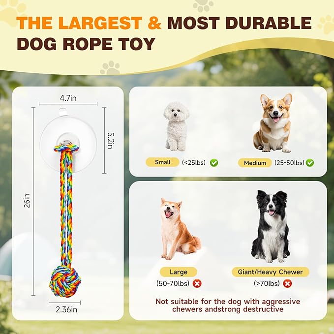 Interactive Suction Cup Tug Dog Toy for Small Dogs,Cotton Tug Rope,Puppy Teething Toy,Indestructible Chew Toy for Aggressive Chewers,Puzzle Enrichment Toy to Keep Dogs Busy