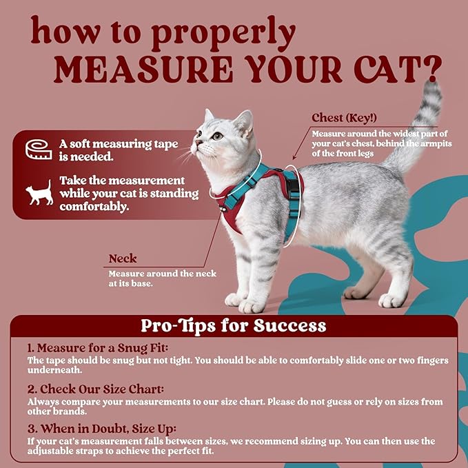 rabbitgoo Cat Harness and Leash for Walking, Escape Proof Soft Adjustable Vest Harnesses for Cats, Easy Control Breathable Reflective Strips Jacket, Red & Teal, M