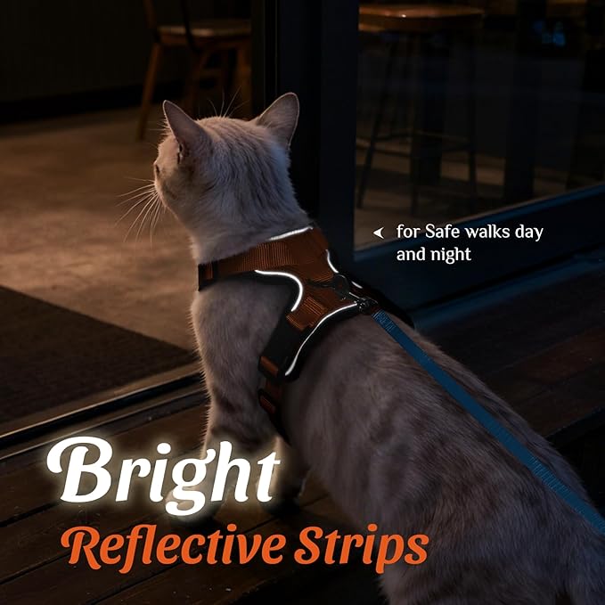 Dooradar Cat Harness and Leash Set, Escape Proof Safe Adjustable Kitten Vest Harnesses for Walking, Easy Control Soft Breathable Mesh Jacket with Reflective Strips for Cats, Orange, XS
