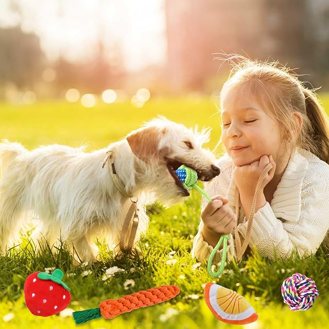 18 Pack Dog Toys Puppy Teething Toys, Puppy Essentials Chew Toy Bundle with Squeaky Toy and Interactive Rope for Small Dogs to Keep Them Busy