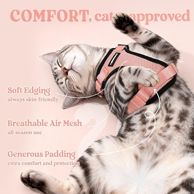 rabbitgoo Cat Harness and Leash for Walking, Escape Proof Soft Adjustable Vest Harnesses for Cats, Easy Control Breathable Reflective Strips Jacket, Light Salmon Pink, XS
