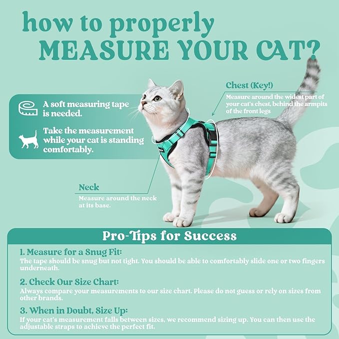 rabbitgoo Cat Harness and Leash for Walking, Escape Proof Soft Adjustable Vest Harnesses for Cats, Easy Control Breathable Reflective Strips Jacket, Emerald, S