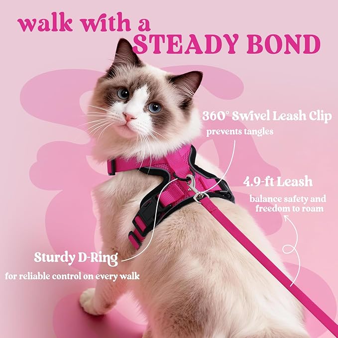 rabbitgoo Cat Harness and Leash for Walking, Escape Proof Soft Adjustable Vest Harnesses for Cats, Easy Control Breathable Reflective Strips Jacket, Rose Red, XXS