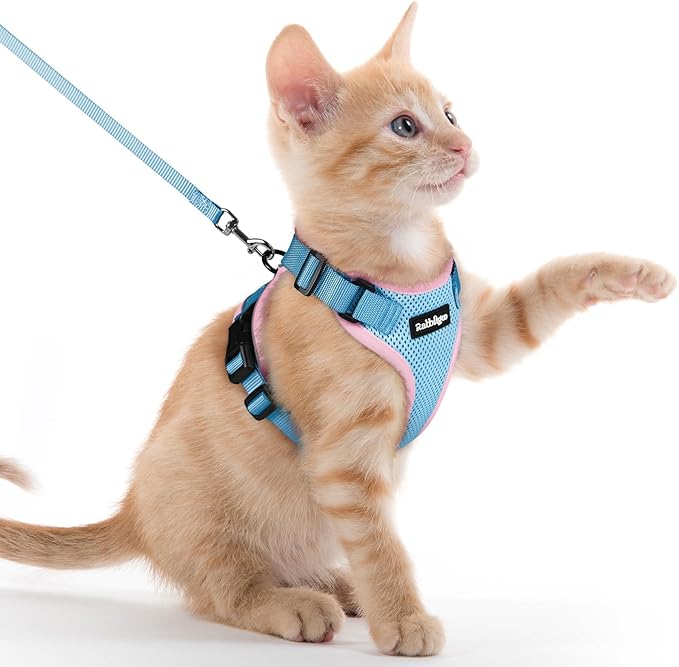 rabbitgoo Cat Harness and Leash for Walking, Escape Proof Soft Adjustable Vest Harnesses for Cats, Easy Control Breathable Reflective Strips Jacket, Light Blue&Pink, XXS