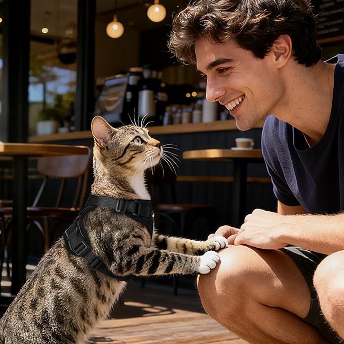 Dooradar Cat Harness and Leash Set, Escape Proof Safe Adjustable Kitten Vest Harnesses for Walking, Easy Control Soft Breathable Mesh Jacket with Reflective Strips for Cats, Black, XS