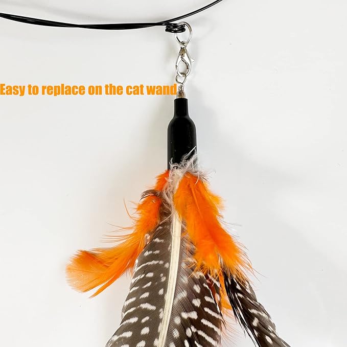 Cat Feather Toys Refill, 6 Pieces Cat Wand Attachments Da Bird Feathers Toy for Indoor Cats