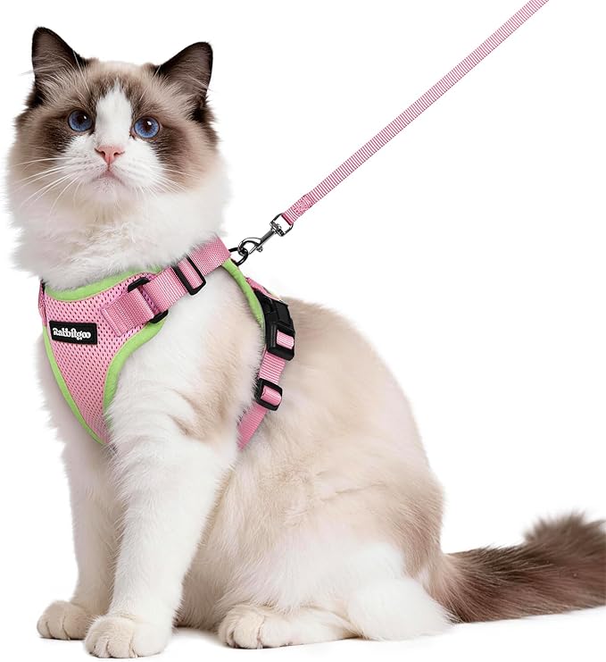 rabbitgoo Cat Harness and Leash for Walking, Escape Proof Soft Adjustable Vest Harnesses for Cats, Easy Control Breathable Reflective Strips Jacket, Pink&Light Green, M