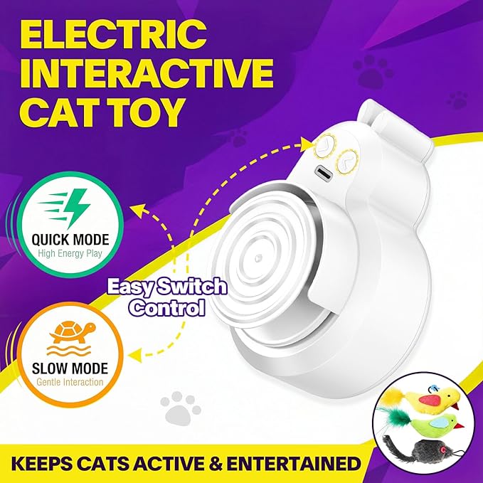 Interactive Cat Toys for Indoor Cats: Automatic Electric Flying Bird Feather & Mouse Wand, Rechargeable Electric Hanging Play Chase Exercise Moving Enrichment Toy for Bored Kittens and Adult Cats
