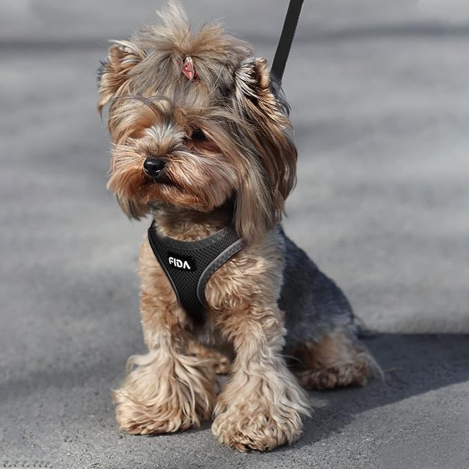 Fida Comfy Dog Harness with Leash, Cat Vest Harness Escape Proof, Breathable Lightweight Soft Mesh, Adjustable Reflective Step-in Harness for Puppy Toy Breeds & Extra-Small Pet (XXS, Black)