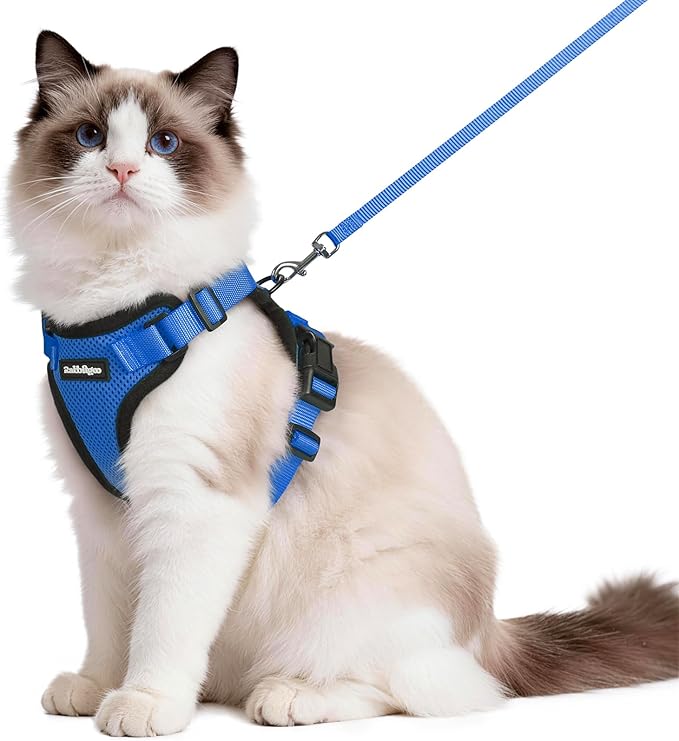 rabbitgoo Cat Harness and Leash for Walking, Escape Proof Soft Adjustable Vest Harnesses for Cats, Easy Control Breathable Reflective Strips Jacket, Navy Blue, M