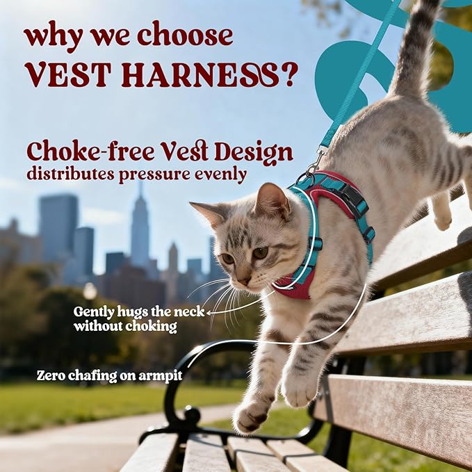 rabbitgoo Cat Harness and Leash for Walking, Escape Proof Soft Adjustable Vest Harnesses for Cats, Easy Control Breathable Reflective Strips Jacket, Red & Teal, S