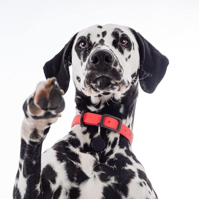 Waterproof Dog Collar - Durable, Comfortable and Adjustable Outdoor Dog Collar with Wear Resistant Buckle and ID Tag Ring for Large Dogs by Nuvuq (Red, Large)