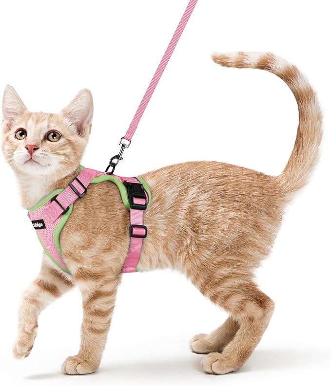 rabbitgoo Cat Harness and Leash for Walking, Escape Proof Soft Adjustable Vest Harnesses for Cats, Easy Control Breathable Reflective Strips Jacket, Pink&Light Green, XS