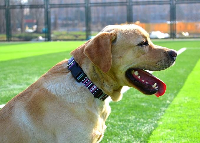 Dog Collar with Bohemia Floral Tribal Geometric Patterns - Soft Ethnic Style Collar Adjustable for Small Medium Large Dogs（Bohemian Purple,S）