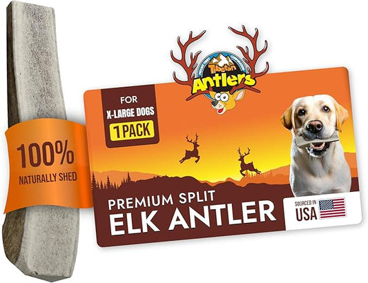 Tibetan Elk Antler for X-Large Dogs, Grade-A, Premium Antler Chews, Pack of 1, Naturally shed Healthy & Longer Lasting Aggressive chewers, USA Product (Split)