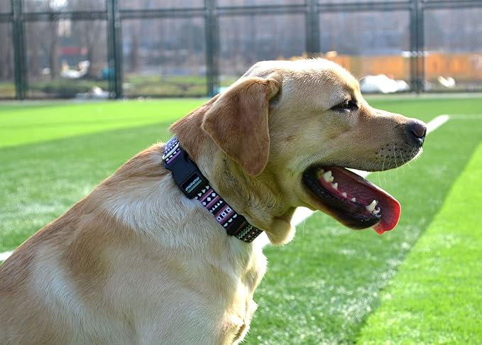 Dog Collar with Bohemia Floral Tribal Geometric Patterns - Soft Ethnic Style Collar Adjustable for Small Medium Large Dogs（Bohemian Purple,L）