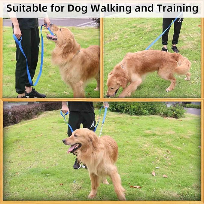 AMAGOOD 6 FT Puppy/ Dog Leashes, Traditional Style Leash with Easy to Use Collar Hook, Great for Small, Medium and Large Dogs (3/4 in x 6 ft, Pack of 1), Blue