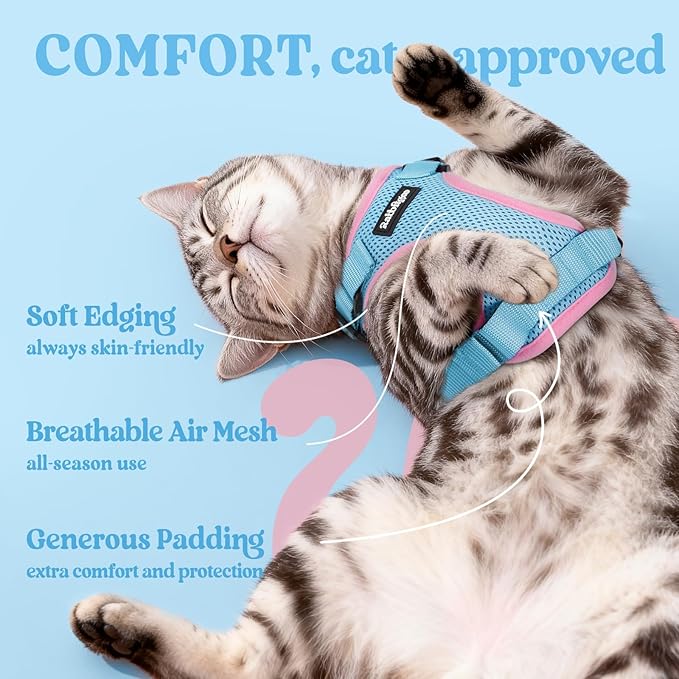 rabbitgoo Cat Harness and Leash for Walking, Escape Proof Soft Adjustable Vest Harnesses for Cats, Easy Control Breathable Reflective Strips Jacket, Light Blue&Pink, M