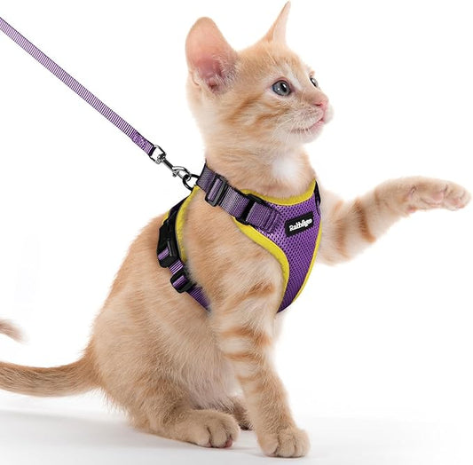 rabbitgoo Cat Harness and Leash for Walking, Escape Proof Soft Adjustable Vest Harnesses for Cats, Easy Control Breathable Reflective Strips Jacket, Purple&Yellow,XXS