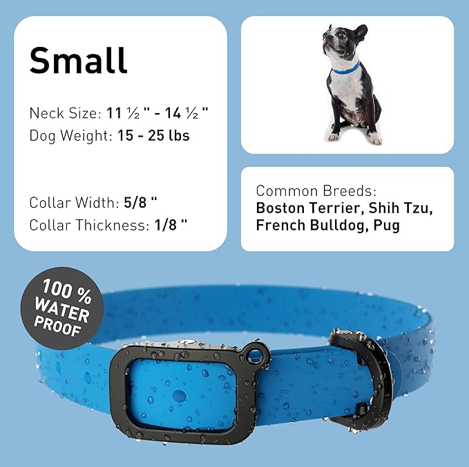 Waterproof Dog Collar - Durable, Comfortable and Adjustable Outdoor Dog Collar with Wear Resistant Buckle and ID Tag Ring for Small Dogs by Nuvuq (Blue, Small)