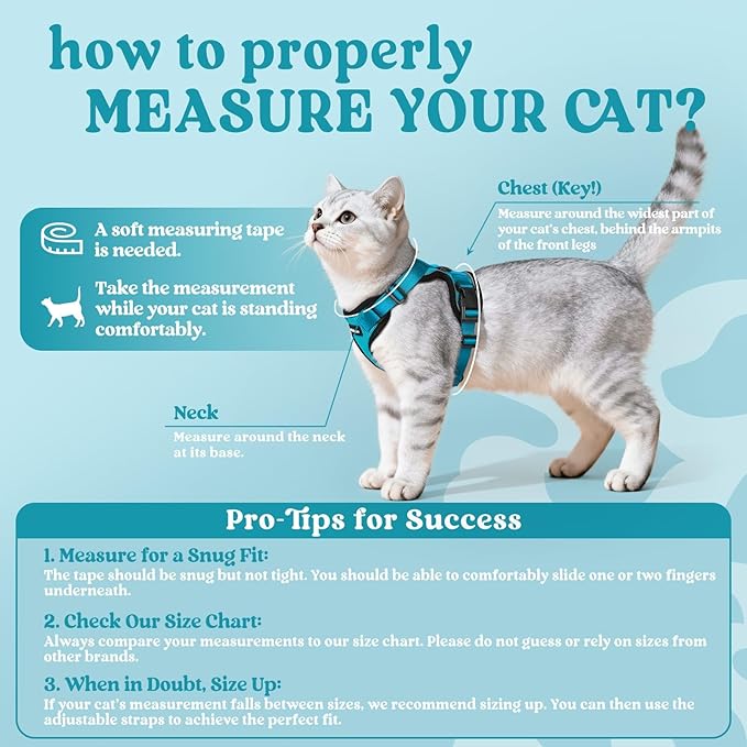 rabbitgoo Cat Harness and Leash for Walking, Escape Proof Soft Adjustable Vest Harnesses for Cats, Easy Control Breathable Reflective Strips Jacket, Teal, M