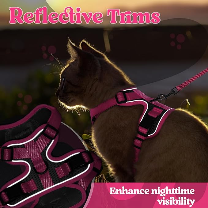 rabbitgoo Cat Harness and Leash Set, Escape Proof Soft Adjustable Vest Harnesses for Outdoor Walking, Easy Control Breathable Kitten Jacket with Reflective Strips, Black & Rose Pink, S