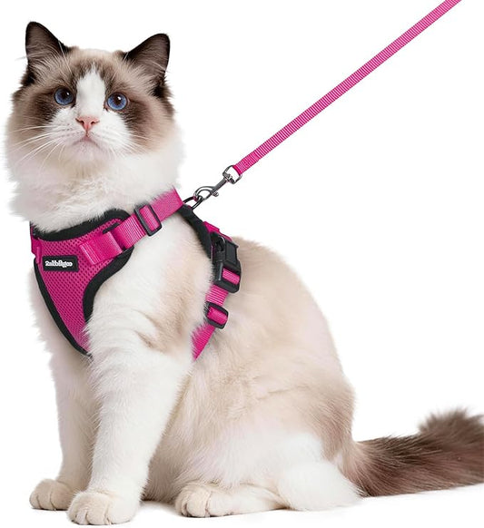 rabbitgoo Cat Harness and Leash for Walking, Escape Proof Soft Adjustable Vest Harnesses for Cats, Easy Control Breathable Reflective Strips Jacket, Rose Red, M
