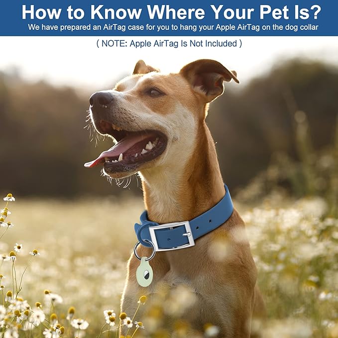 Wisedog Waterproof Dog Collar, Adjustable Soft Rubber Coated Webbing, Odor-Proof and Easy to Clean for Small Medium Large Dogs, with Airtags Case(S|8.5"-12.5" × 4/5 in, Blue)