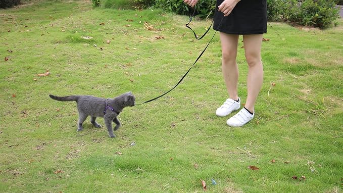 AMAGOOD 6 FT Cat Leash, Strong and Durable Traditional Style Leash with Easy to Use Collar Hook,Cat Lead Great for Cats (3/8 in x 6 ft,Black and Blue(2-Pack))