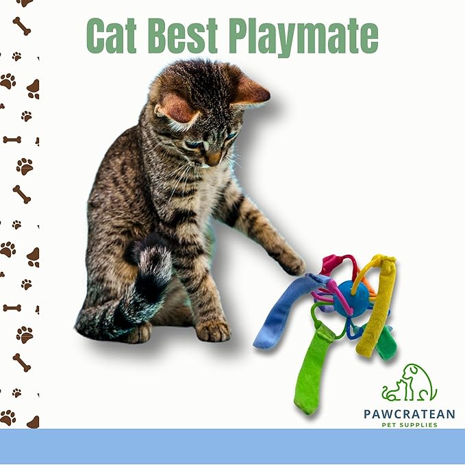 Catnip Sepak Takraw Toy with Crackle Paper Colorful Self-Entertainment Durable Chew Toy