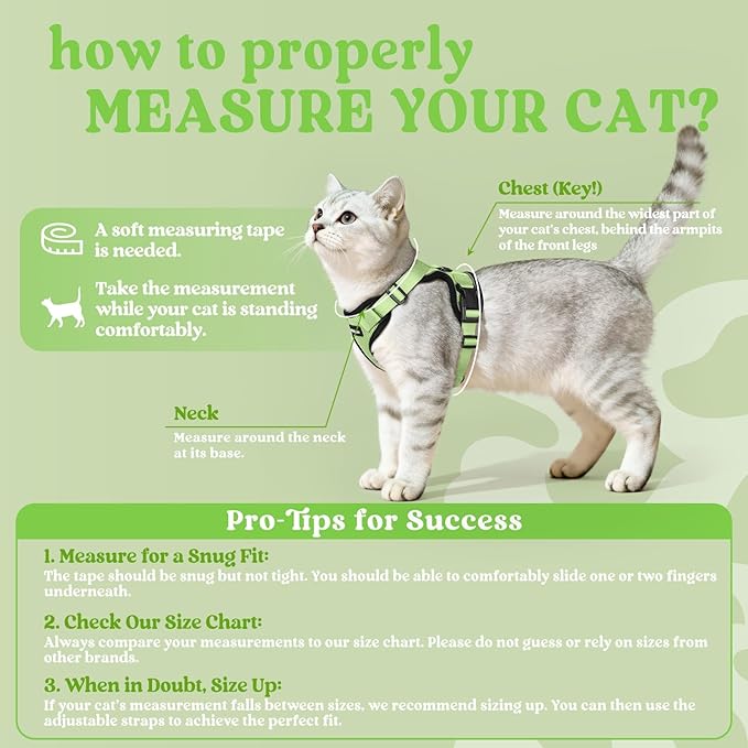 rabbitgoo Cat Harness and Leash for Walking, Escape Proof Soft Adjustable Vest Harnesses for Cats, Easy Control Breathable Reflective Strips Jacket, Light Green, M