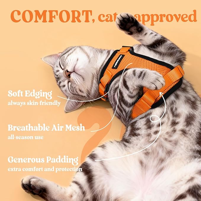 rabbitgoo Cat Harness and Leash for Walking, Escape Proof Soft Adjustable Vest Harnesses for Cats, Easy Control Breathable Reflective Strips Jacket, Orange, M