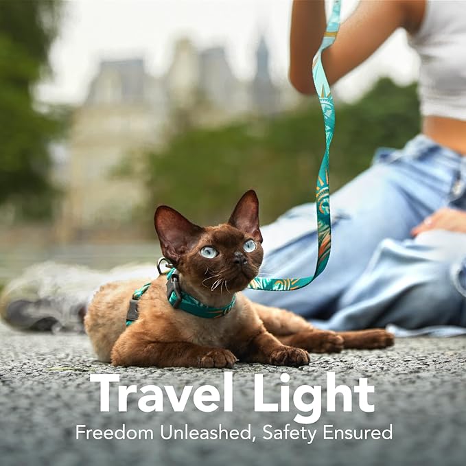 Cat Harness and Leash Set - Escape Proof Adjustable Cat Harness, Comfortable Soft Lightweight, Use Safe & Easy, Walking Travel Kitten Harness for Small Medium Large Cats (Green Cat Lady)