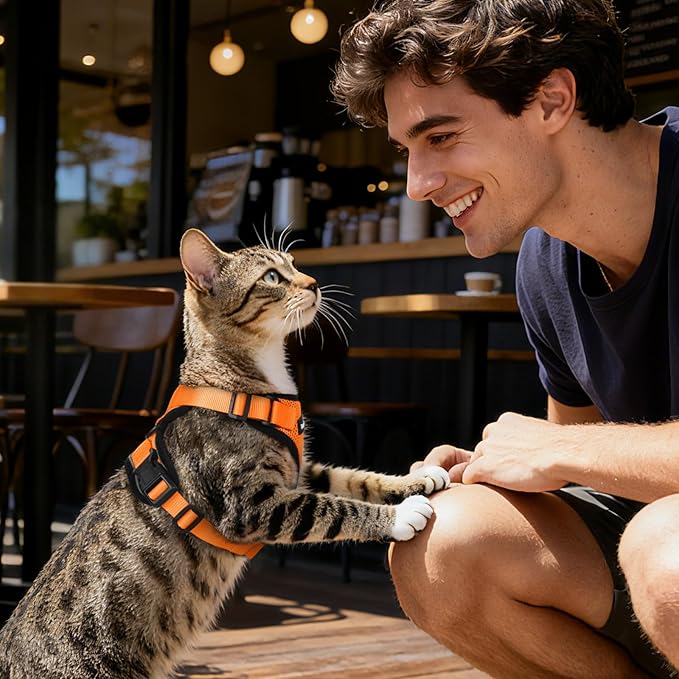 Dooradar Cat Harness and Leash Set, Escape Proof Safe Adjustable Kitten Vest Harnesses for Walking, Easy Control Soft Breathable Mesh Jacket with Reflective Strips for Cats, Orange, XXS