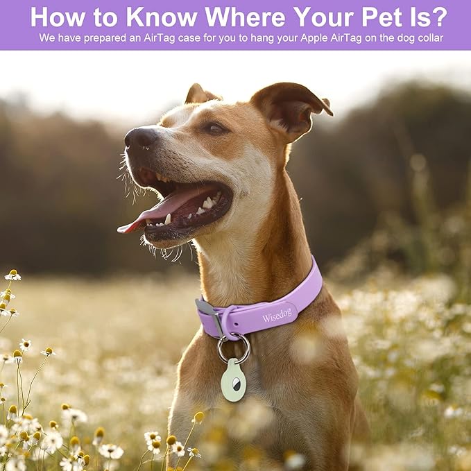 Wisedog Waterproof Dog Collar, Adjustable Soft Rubber Coated Webbing, Odor-Proof and Easy to Clean for Small Medium Large Dogs, with Airtags Case(XL|18"-23.6" × 1 in, Lilac)