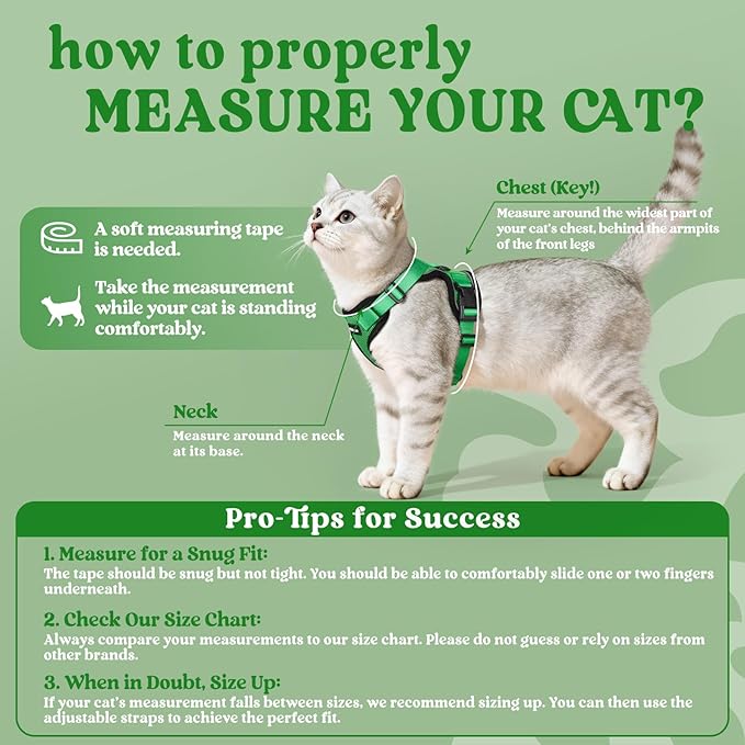 rabbitgoo Cat Harness and Leash for Walking, Escape Proof Soft Adjustable Vest Harnesses for Cats, Easy Control Breathable Reflective Strips Jacket, Grass Green, XXS