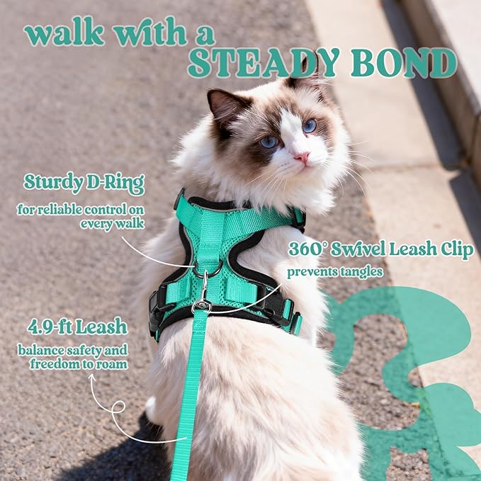 rabbitgoo Cat Harness and Leash for Walking, Escape Proof Soft Adjustable Vest Harnesses for Cats, Easy Control Breathable Reflective Strips Jacket, Emerald, XXS