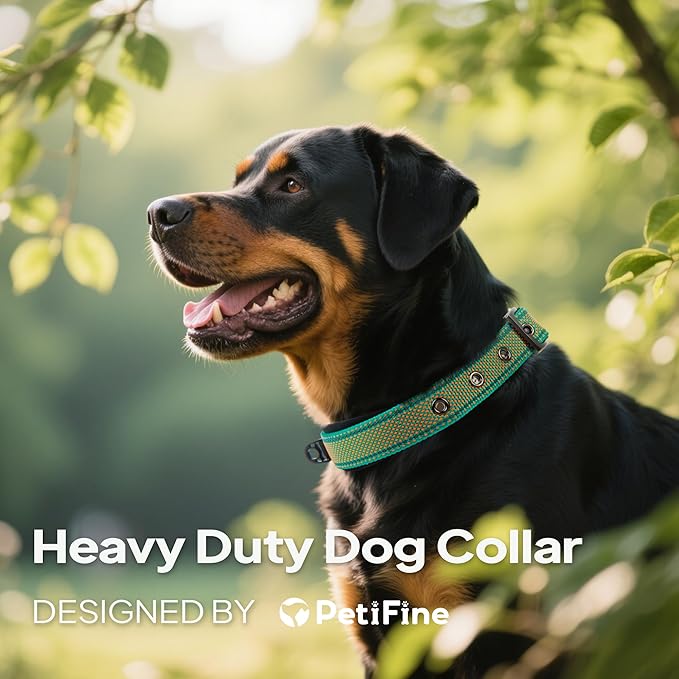 PetiFine Dog Collar for Large Dogs, Neoprene Padded and Adjustable, Reflective Wide Heavy Duty Pet Collars with Durable Metal Belt Buckle for Walking, Teal&Orange, L