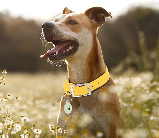 Wisedog Waterproof Dog Collar, Adjustable Soft Rubber Coated Webbing, Odor-Proof and Easy to Clean for Small Medium Large Dogs, with Airtags Case(L|15"-19" × 1 in, Butter Yellow)