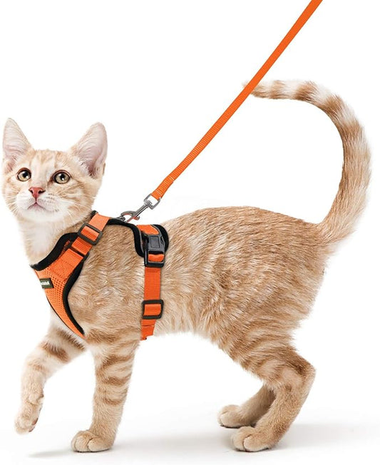rabbitgoo Cat Harness and Leash for Walking, Escape Proof Soft Adjustable Vest Harnesses for Cats, Easy Control Breathable Reflective Strips Jacket, Orange, S