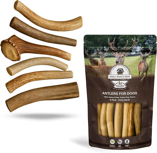 WhiteTail Naturals - Antlers for Extra Small Dogs (6 Pack) Deer Antler Dog Chew Bones for Extra Small Aggressive Chewers - Long Lasting Horn Chew Toys - Naturally Shed