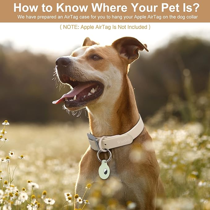 Wisedog Waterproof Dog Collar, Adjustable Soft Rubber Coated Webbing, Odor-Proof and Easy to Clean for Small Medium Large Dogs, with Airtags Case(L|15"-19" × 1 in, Sand Color)