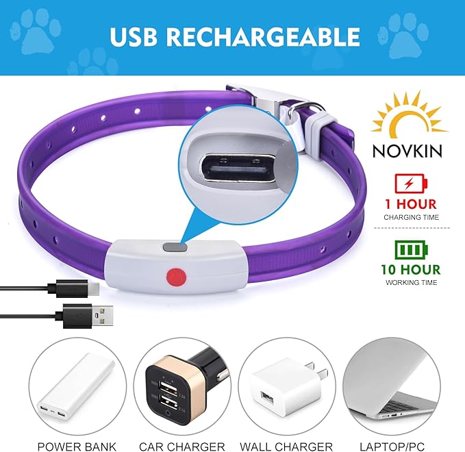 Lighted Dog Collar, Rechargeable Light Up Pet Collar, Waterproof LED Dog Collar Glow in The Dark, Make Pet Visible and Safety for Night Walking for Small Medium Large Dogs (Green)