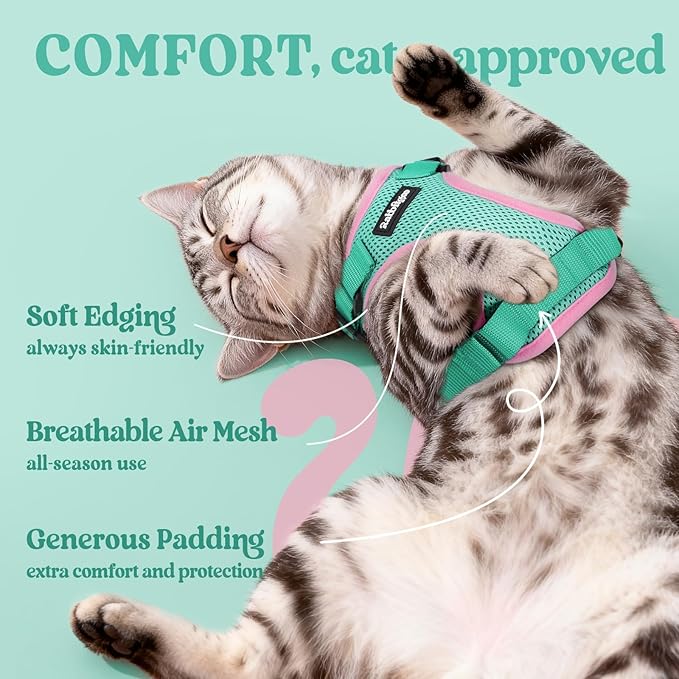 rabbitgoo Cat Harness and Leash for Walking, Escape Proof Soft Adjustable Vest Harnesses for Cats, Easy Control Breathable Reflective Strips Jacket, Green&Pink, XS