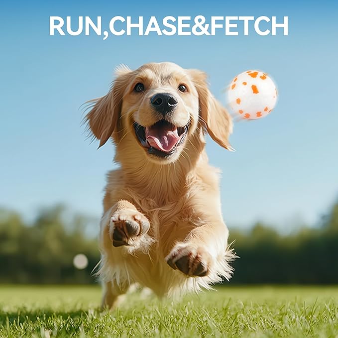 ALL FOR PAWS Dog Ball Launcher, Upgraded Dog Ball Blaster with 3 ETPU Balls, Interactive Thrower for Medium to Large Dogs, Play Fetch Toy for Dogs for Outdoor Exercise