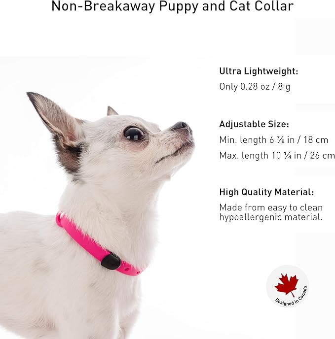 Dog Collar - Comfortable, Soft and Lightweight Adjustable Collar with Name Tag Ring for Miniature Dogs and Puppies - Non Breakaway Cat Collar by Nuvuq (Pink, Mini)