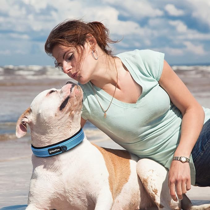 PetiFine Dog Collars for Medium Dogs, Neoprene Padded and Adjustable, Reflective Wide Heavy Duty Pet Collars with Durable Metal Belt Buckle for Walking, Blue, M