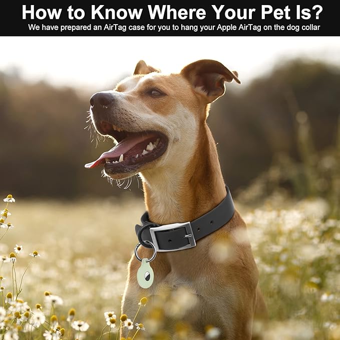 Wisedog Waterproof Dog Collar, Adjustable Soft Rubber Coated Webbing, Odor-Proof and Easy to Clean for Small Medium Large Dogs, with Airtags Case(M|12"-16" × 4/5 in, Black)