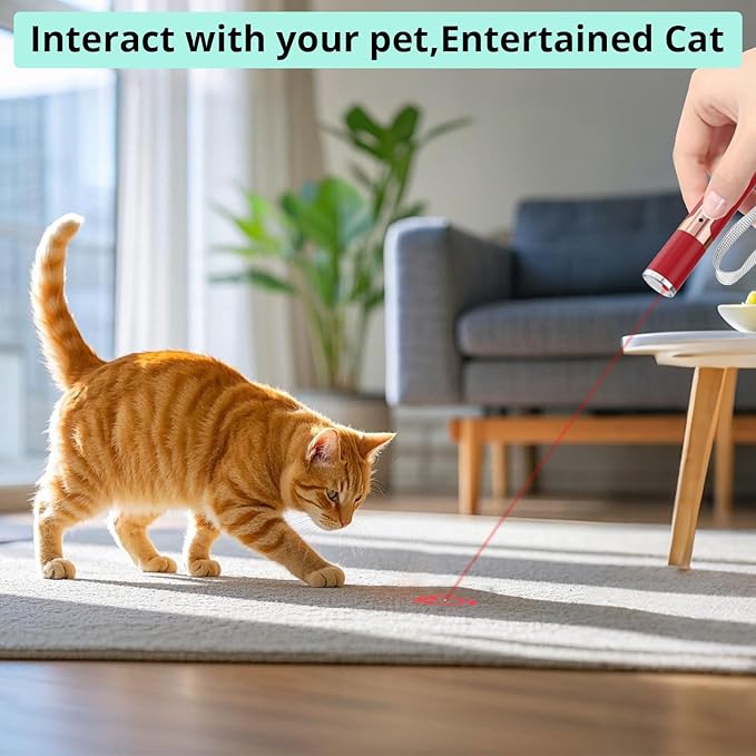 TBTeek Cat Toys, with Metal Case, 2 Pieces, Rechargeable, 7 Adjustable Patterns, Interactive Kitten Pet Dog Chase Toy for Cats Fun Playing Exercise（Red）